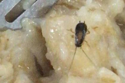 На Украине курсантов кормили тараканами и червями