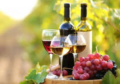 Севастопольские виноделы за год не смогли получить в крымских банках сельхозкредит