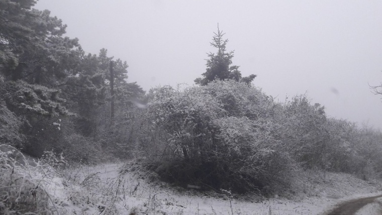 Фотофакт: Крым замело снегом