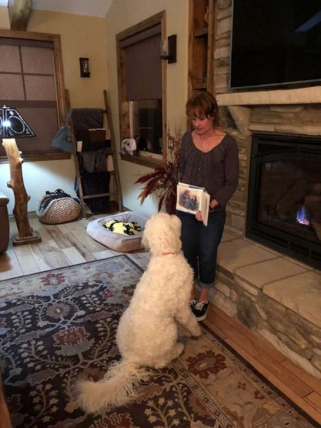Собаку научили читать, и теперь она выполняет команды без слов