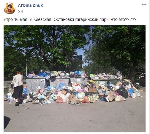 Фотофакт: центр Симферополя утонул в мусоре