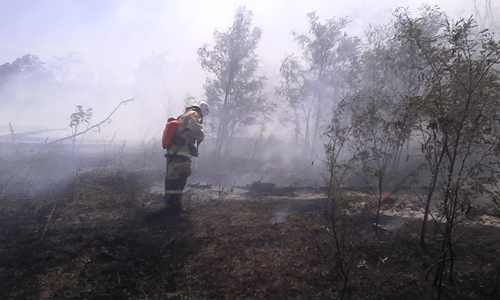 В Ленинском районе Крыма больше суток тушат лесной пожар