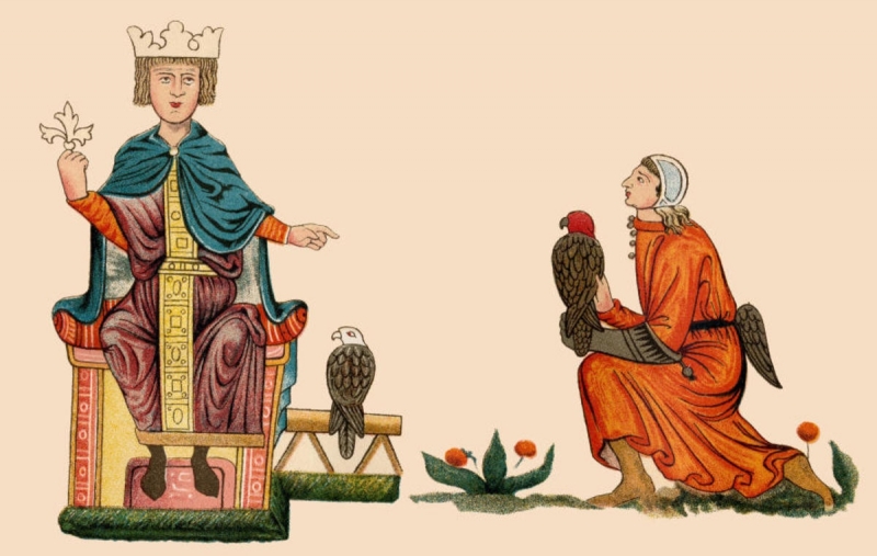  Средневековый манускрипт раскрыл тайну какаду 