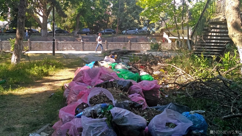 Власти Крыма не довольны ситуацией с уборкой мусора в Симферополе