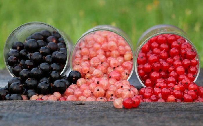 Время наступило: сколько стоят сезонные ягоды и фрукты в Симферополе