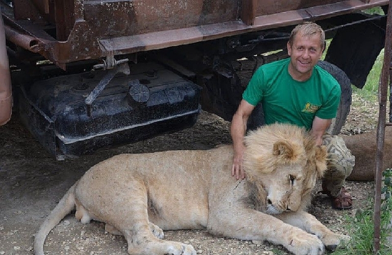 Покусавшего туристку крымского льва отправляют в цирк [фото]