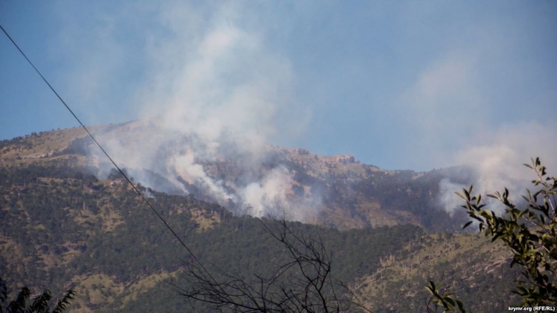 Двухдневный лесной пожар на ЮБК мог разгореться из-за поджога