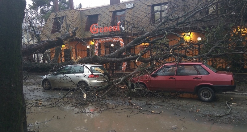 Двойное происшествие в Симферополе: дерево рухнуло на автомобили, рядом горит газовая труба