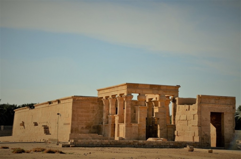  Недоподнятая целина: зачем Египту чудесный оазис посреди пустыни 