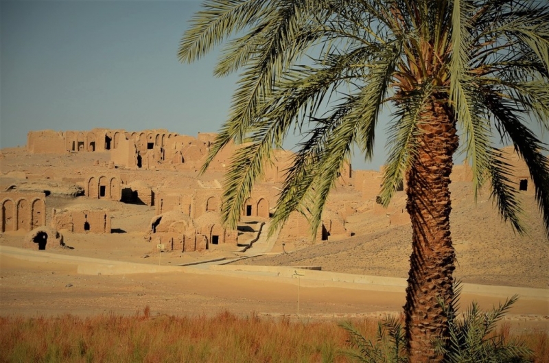  Недоподнятая целина: зачем Египту чудесный оазис посреди пустыни 