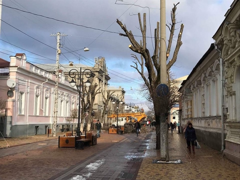 Фотофакт: в центре Симферополя деревья подстригли под ноль