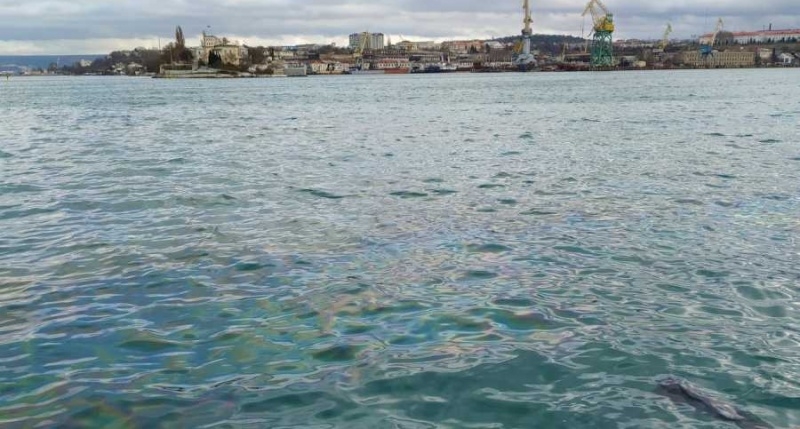 Севастопольскую бухту залили мазутом 