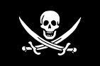Власти США решили заступиться за пиратов