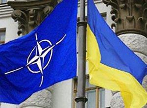 Украина не ждет от НАТО прямой военной помощи