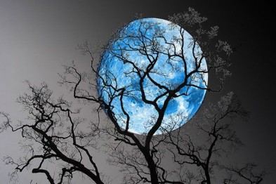 Сегодня севастопольцы смогут увидеть в небе «голубую Луну» (фото)