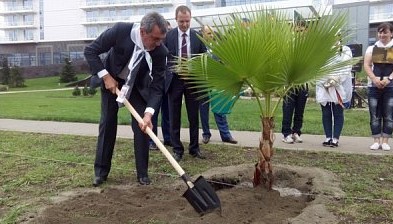 Губернатор Севастополя посадил в Олимпийском парке Сочи «дерево Победы» (фото)
