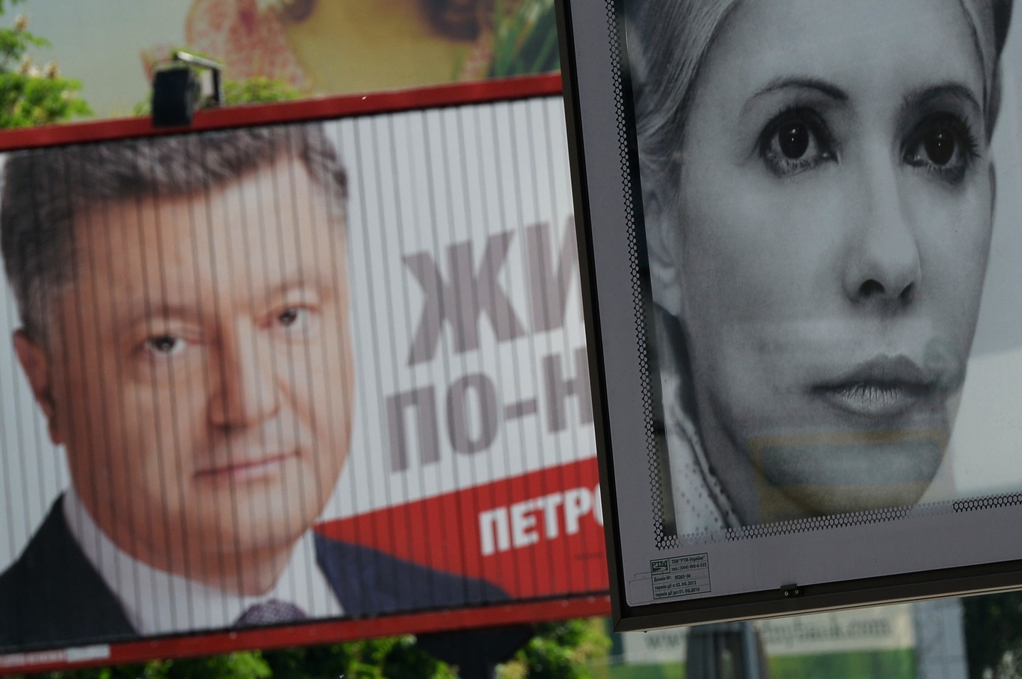 Тимошенко обвинила семью Порошенко в рейдерском захвате земель Украины