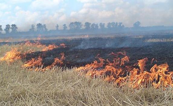 Семь гектаров полей выгорело в Крыму — МЧС