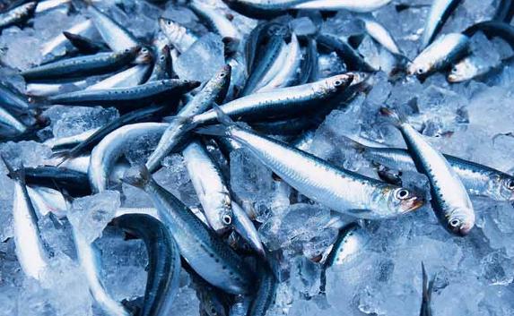 Сколько свежемороженой рыбы Крым поставил в Украину за год?
