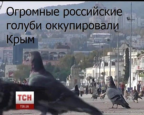 «Мегаватники», Обама и голуби-оккупанты: ТОП-5 крымских шуток