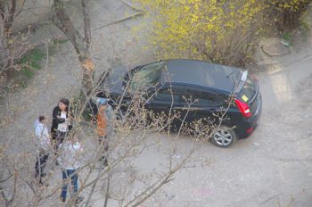 На дорогах Севастополя: «торопыга» под шлагбаумом и неравная схватка с деревом