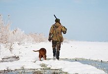 Крымских охотников заставят сдавать экзамен 