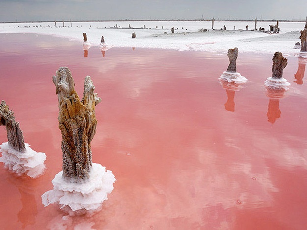 Уникальный полезный минерал Крыма - живая розовая соль