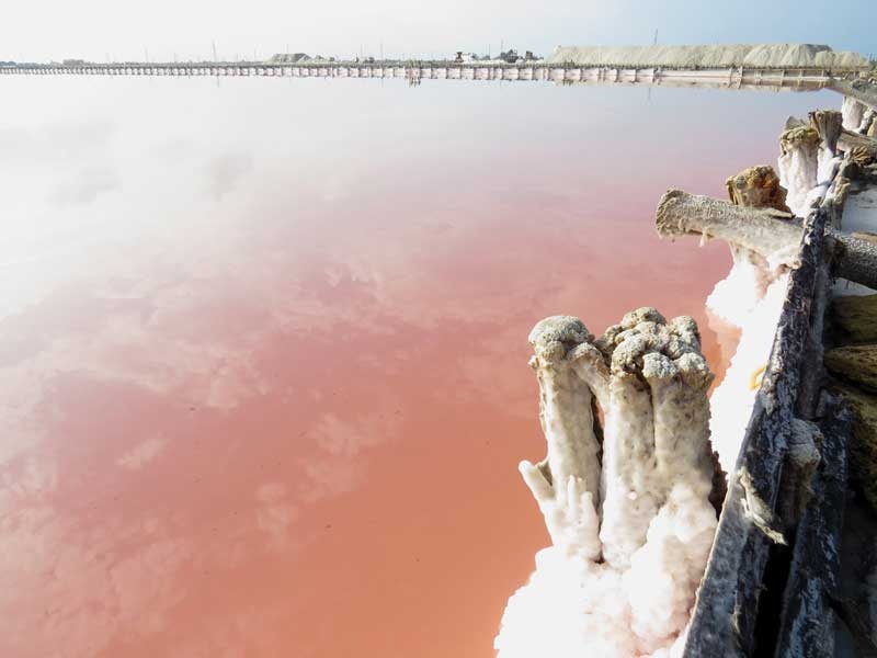 Уникальный полезный минерал Крыма - живая розовая соль