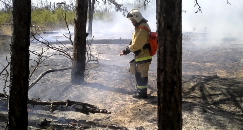 В Ленинском районе Крыма больше суток тушат лесной пожар