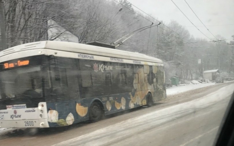 В Крым вернулась зима: ялтинскую трассу замело снегом