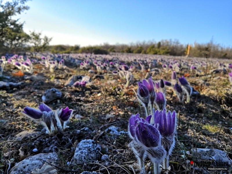 Крымская весна в горах