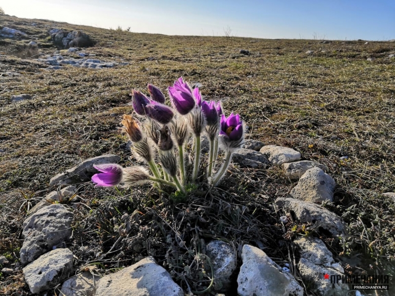 Крымская весна в горах