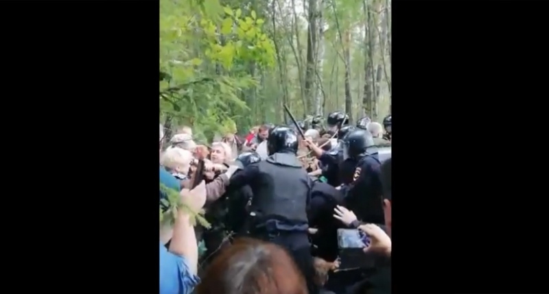 В Подмосковье полицейские избили протестующих против свалки и вырубки леса, есть пострадавшие