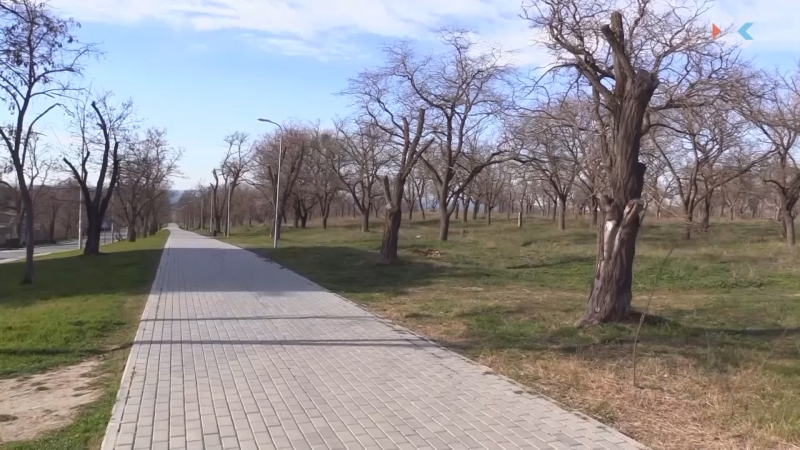 Руку на пульсе: губернатор контролирует реконструкцию парка в Учкуевке