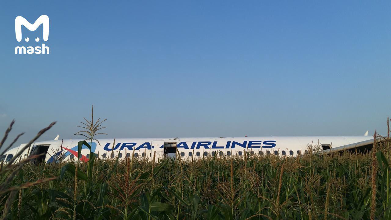 Летевший в Крым самолет экстренно сел в поле: есть пострадавшие (ФОТО, ВИДЕО)