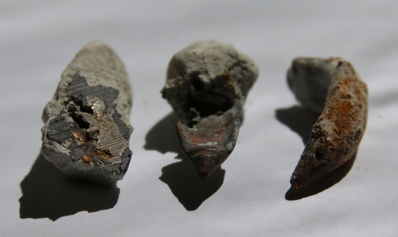 В инкерманском камне возрастом 70 млн лет нашли медные «пули» 