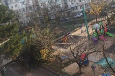 В Севастополе на детскую площадку упало дерево 
