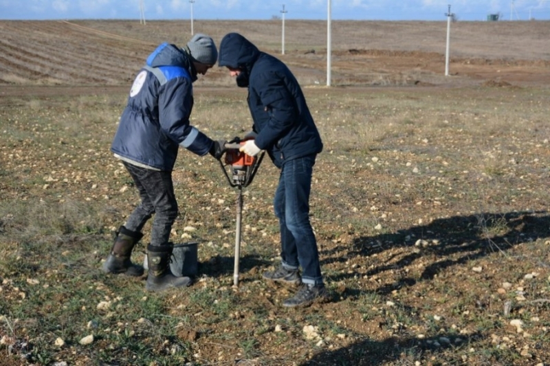 1000 гектаров земли сельхозназначения обследуют в Севастополе к концу года
