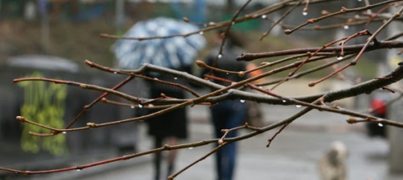 Тепло, ветрено и дождливо: какой погодой Крым проводит зиму и встретит весну