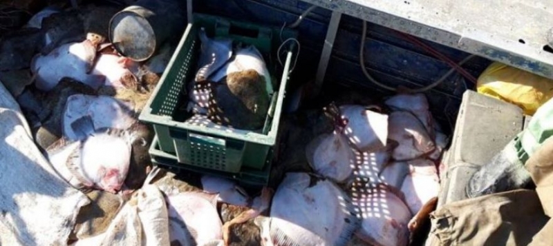 На Украине открыли дело после задержания в Крыму браконьерского судна