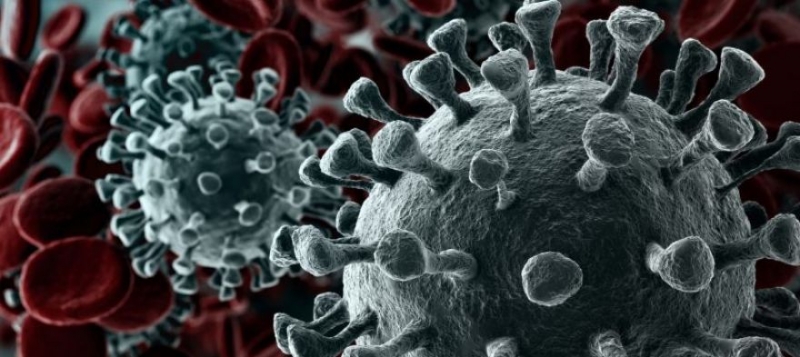 Пандемия коронавируса - ситуация в мире на утро 9 апреля