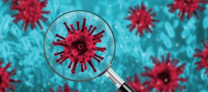 Более 20 сотрудников администрации Ялты заболели коронавирусом