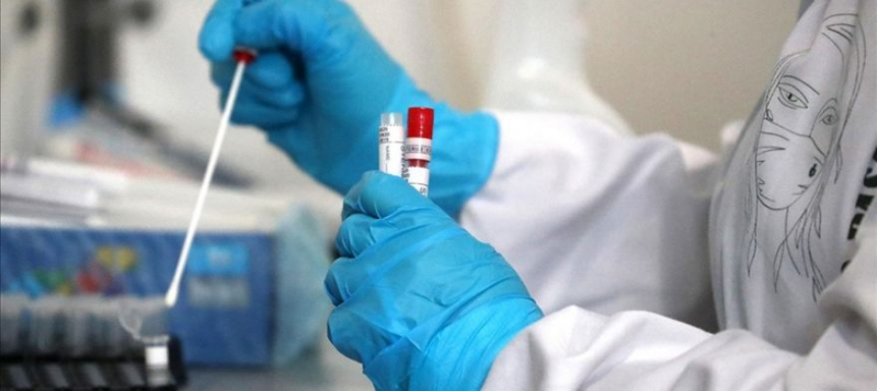 В Севастополе заявили о снижении заболеваемости коронавирусом