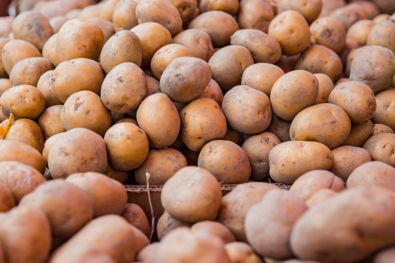 В одном регионе картофель подорожал на 11% за неделю, власти назвали рост искусственным