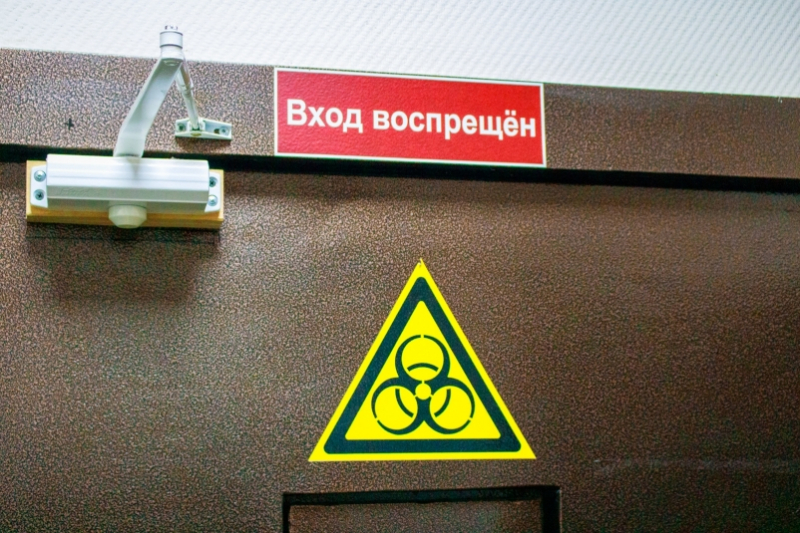 Новое острое вирусное заболевание приходит в Россию на смену свиному гриппу