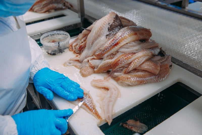 В организации школьного питания АСРФ предлагает отдавать приоритет отечественной рыбе