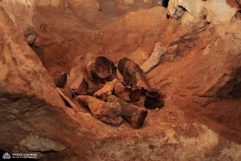 Палеонтологический музей создадут в пещере "Таврида"