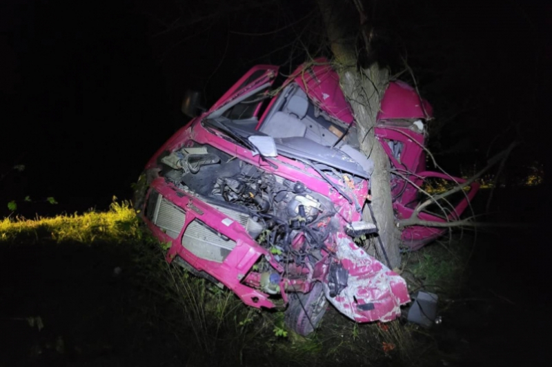 Автомобиль улетел в кювет и врезался в дерево на трассе в Крыму
