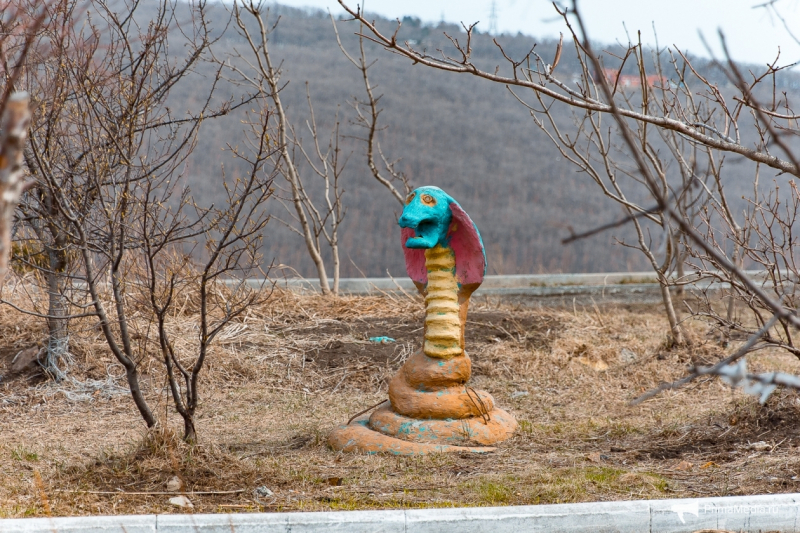 Красота и уродство. Как творческие жители Владивостока украшают свои дворы
