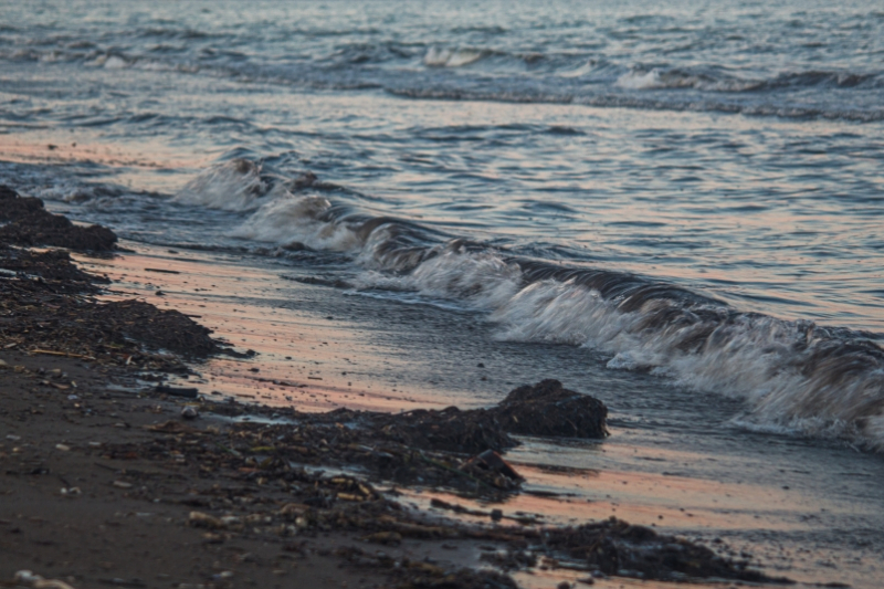 Готовность пляжей Севастополя к летнему сезону раскритиковал губернатор Михаил Развожаев